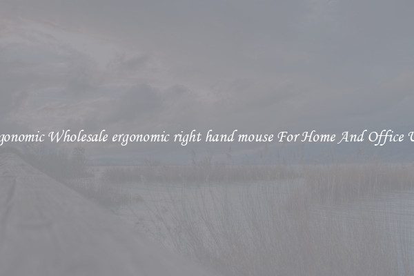 Ergonomic Wholesale ergonomic right hand mouse For Home And Office Use.