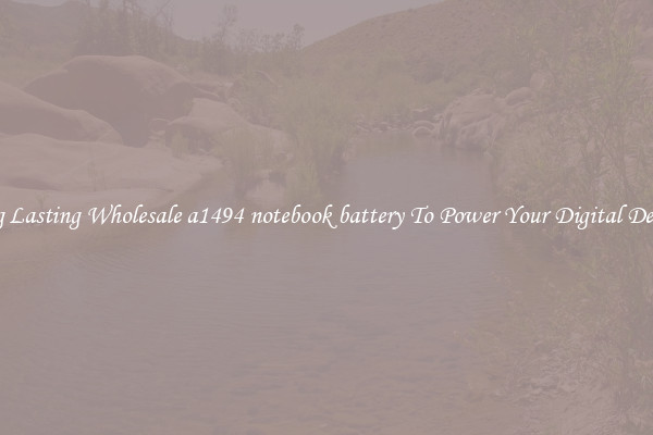Long Lasting Wholesale a1494 notebook battery To Power Your Digital Devices