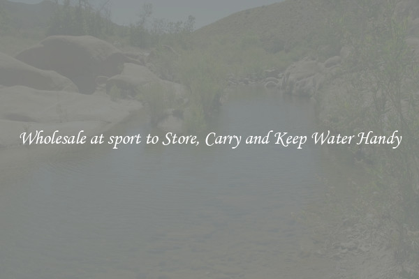 Wholesale at sport to Store, Carry and Keep Water Handy