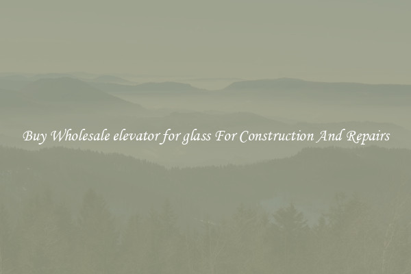 Buy Wholesale elevator for glass For Construction And Repairs