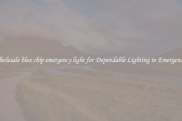 Wholesale blue chip emergency light for Dependable Lighting in Emergencies