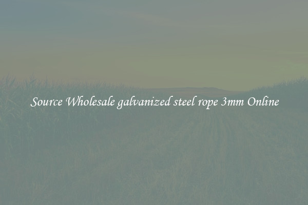 Source Wholesale galvanized steel rope 3mm Online