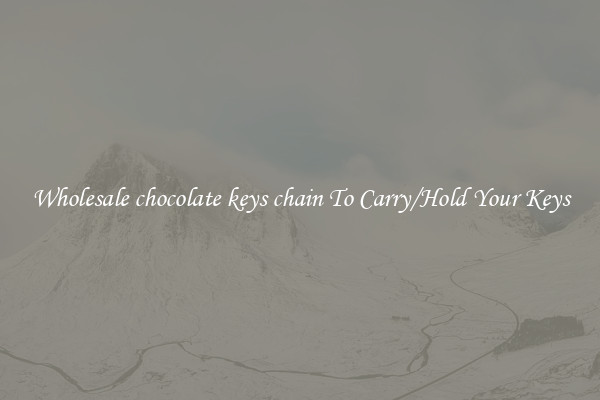 Wholesale chocolate keys chain To Carry/Hold Your Keys