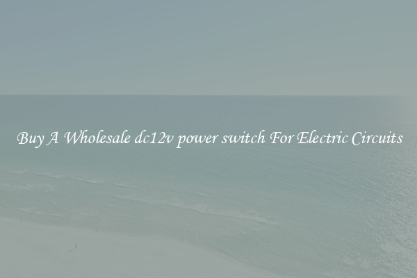 Buy A Wholesale dc12v power switch For Electric Circuits