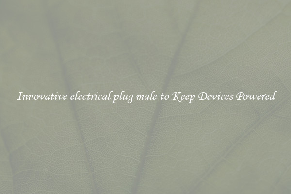 Innovative electrical plug male to Keep Devices Powered