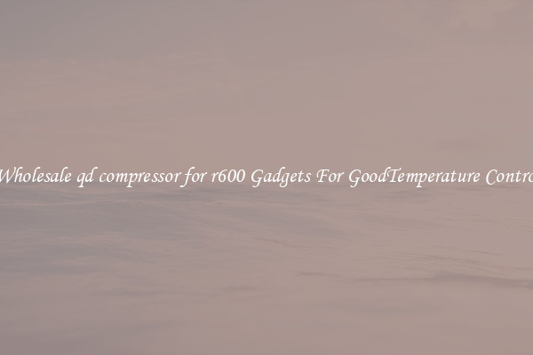 Wholesale qd compressor for r600 Gadgets For GoodTemperature Control