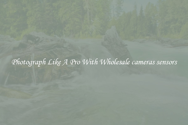 Photograph Like A Pro With Wholesale cameras sensors