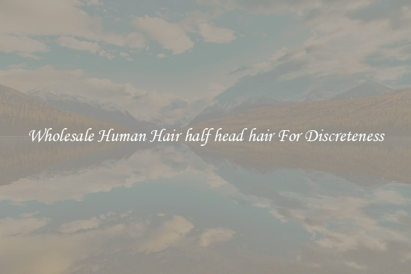 Wholesale Human Hair half head hair For Discreteness