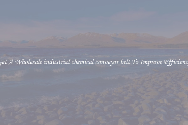 Get A Wholesale industrial chemical conveyor belt To Improve Efficiency