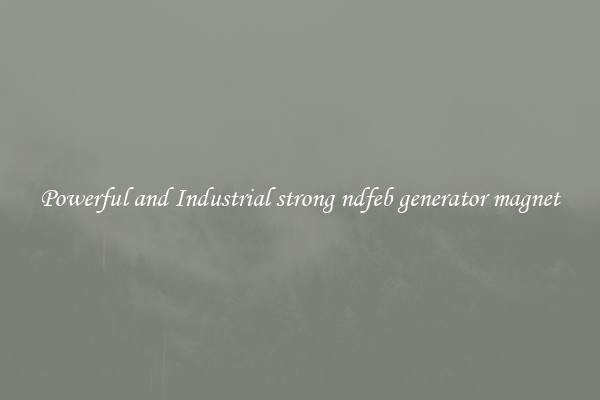 Powerful and Industrial strong ndfeb generator magnet