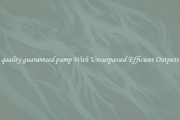 quality guaranteed pump With Unsurpassed Efficient Outputs