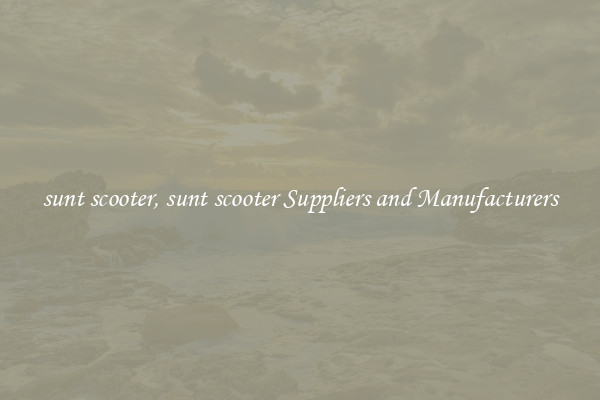 sunt scooter, sunt scooter Suppliers and Manufacturers