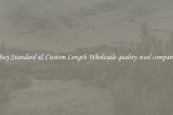 Buy Standard & Custom Length Wholesale quality steel company