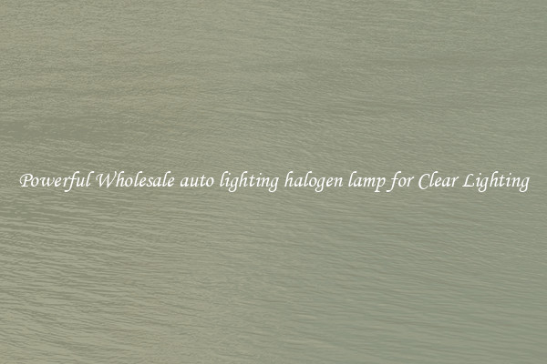 Powerful Wholesale auto lighting halogen lamp for Clear Lighting