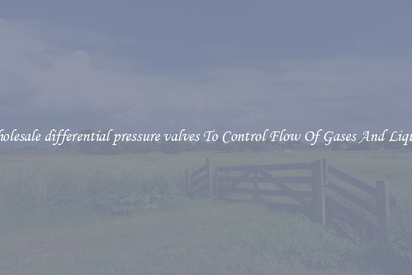 Wholesale differential pressure valves To Control Flow Of Gases And Liquids
