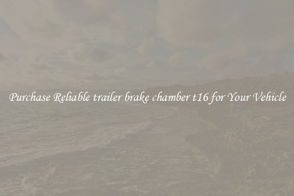 Purchase Reliable trailer brake chamber t16 for Your Vehicle